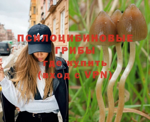 spice Белоозёрский