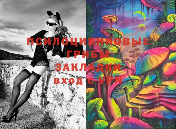 mdpv Белокуриха