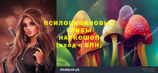 mdpv Белокуриха