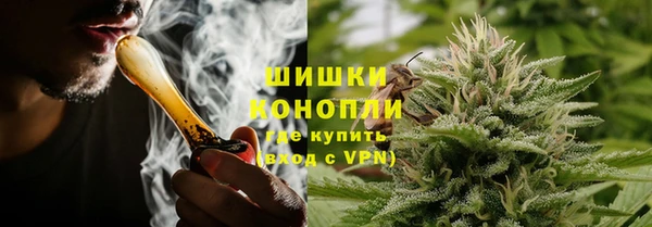 mdpv Белокуриха