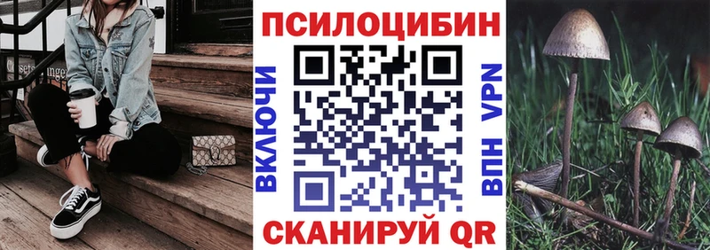 МЕГА вход  Вельск  Псилоцибиновые грибы Psilocybine cubensis 